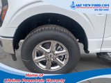 New 2025 Ford F150 XLT image 6