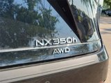 New 2025 Lexus NX 300h AWD w/ Luxury Package image 6
