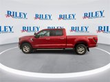 New 2025 Ford F150 XLT image 5