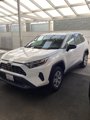 Used 2024 Toyota RAV4 LE image 3