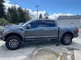 Used 2019 Ford F150 Raptor image 3