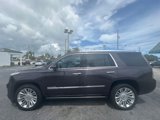 Used 2016 Cadillac Escalade Platinum image 4