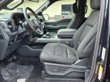 New 2025 Ford F150 XLT w/ Equipment Group 302A MID image 5