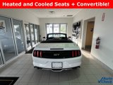 Used 2017 Ford Mustang GT Premium image 6