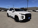 New 2025 Hyundai Palisade Calligraphy image 3