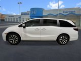 New 2025 Honda Odyssey EX-L image 2