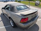Used 2001 Ford Mustang Cobra image 4