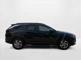 Certified 2024 Hyundai Tucson SEL image 4