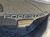 New 2025 Subaru Forester Wilderness image 3