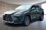 New 2026 Lexus NX 350 AWD w/ Premium Package image 2