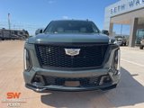 Used 2025 Cadillac Escalade ESV V w/ LPO, ONYX Package image 5