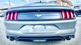 Used 2022 Ford Mustang Premium image 6