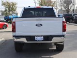New 2025 Ford F150 XLT w/ Equipment Group 303A High image 5