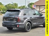 New 2025 Kia Telluride SX Prestige X-Pro image 4