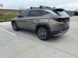Certified 2025 Hyundai Tucson Limited image 3