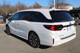 New 2025 Honda Odyssey Elite image 5