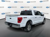 Certified 2022 Ford F150 XLT w/ Equipment Group 302A High image 2