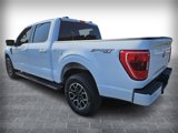 Used 2023 Ford F150 XLT w/ Equipment Group 302A High image 5