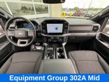 New 2025 Ford F150 XLT w/ Equipment Group 302A MID image 4