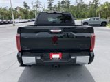 New 2025 Toyota Tundra 1794 Edition image 4