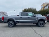 New 2025 Ford F250 XLT w/ Tremor Off-Road Package image 3