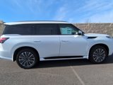 New 2025 INFINITI QX80 Sensory w/ Premium Cargo Package image 3