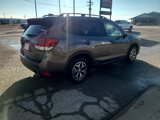 Used 2022 Subaru Forester Premium image 6