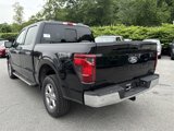 New 2025 Ford F150 XLT w/ Equipment Group 302A MID image 4