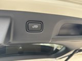 New 2025 Hyundai Palisade Calligraphy image 6