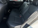 New 2026 Toyota Prius AWD image 6