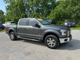 Used 2016 Ford F150 XLT w/ Equipment Group 302A Luxury image 3