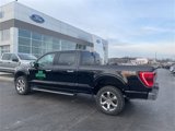 Used 2023 Ford F150 XLT w/ Equipment Group 302A High image 2
