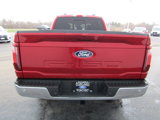 New 2025 Ford F150 XLT w/ Equipment Group 302A MID image 6