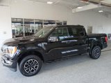 Certified 2023 Ford F150 XLT w/ Equipment Group 302A High image 5