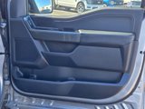 Used 2023 Ford F150 XLT w/ Equipment Group 302A High image 4