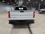 Used 2024 Chevrolet Silverado 1500 W/T image 5