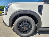 New 2025 Nissan Armada PRO-4X w/ Pro-4X Premium Package image 5