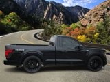 Used 2025 Ford F150 XL w/ Equipment Group 103A High image 2
