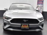 Used 2023 Ford Mustang Premium image 3