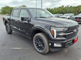 New 2025 Ford F150 Platinum image 4