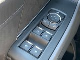 New 2025 Ford F150 XLT w/ Equipment Group 302A MID image 6