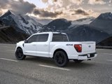 New 2025 Ford F150 Platinum image 4