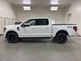 New 2025 Ford F150 XLT image 5
