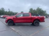 New 2025 Ford F150 XLT w/ Equipment Group 302A MID image 6