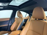 New 2025 Lexus IS 350 F Sport image 6