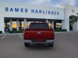New 2025 Ford F150 XLT w/ Equipment Group 302A MID image 5