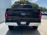 Used 2023 Ford F150 XLT image 5