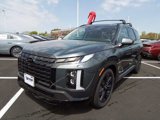New 2025 Hyundai Palisade XRT image 3