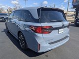 New 2025 Honda Odyssey Elite image 5