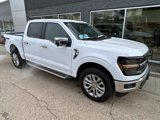 New 2024 Ford F150 XLT w/ Equipment Group 303A High image 4